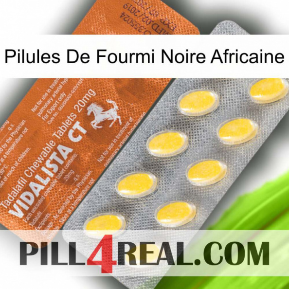 African Black Ant Pills 42